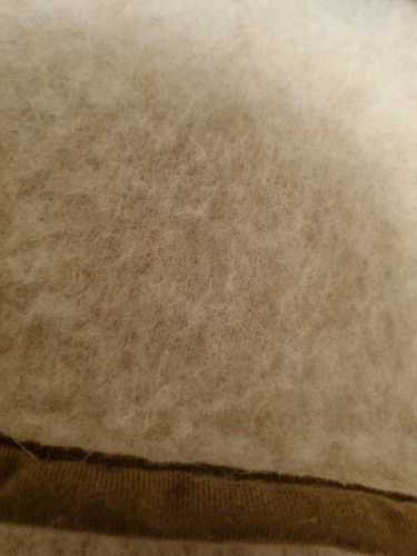 Oat cream merino wool - oat,