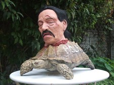 life size replica prop BREAKING BAD TORTUGA TURTLE not screen used Walter White