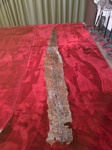 Large antique python - antique,