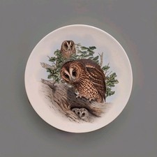 Vintage Poole Pottery Tawny