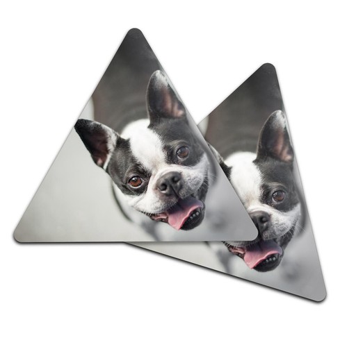 Triangle coaster smiling - 2x,