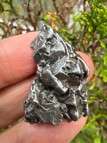 Campo del cielo - del, meteorite