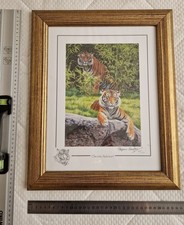 Framed print of tigers