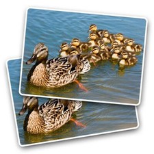 2x Vinyl Sticker Mallard Duck & Ducklings Baby Bird Cute #51406