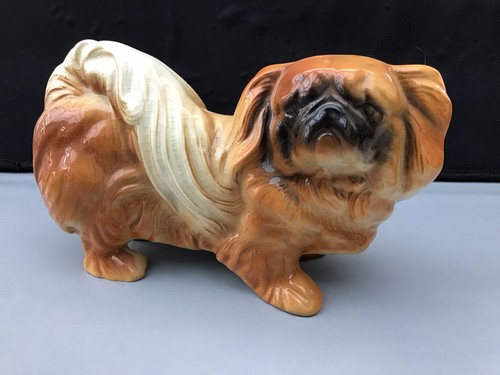 Large pekingese dog - pekingese,
