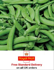 Pea sugar snap nairobi - 50,