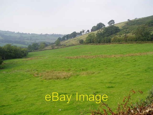 Photo 6x4 pasture land - 6x4,