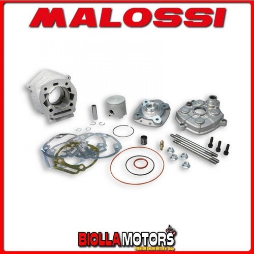 3113564 cylinder malossi 77cc - cylinder,