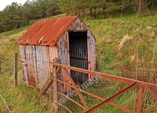 Photo 6x4 Corrugated Tin Shed