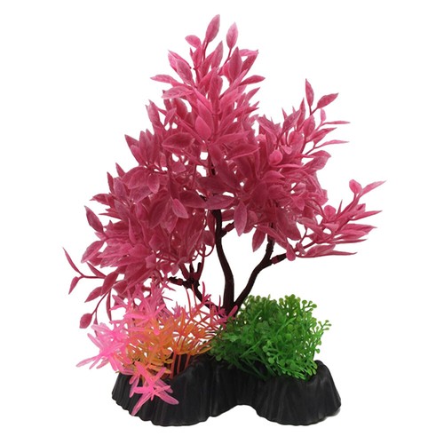 Swell pink cherry - swell, tree
