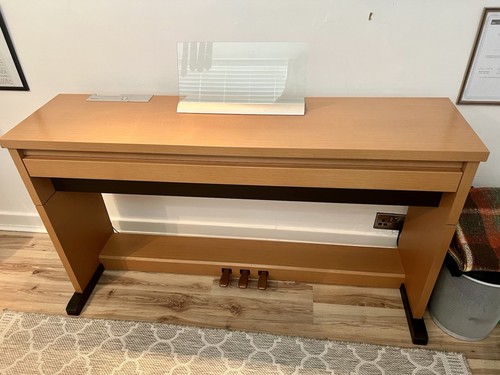 Panasonic np10 electric - panasonic, sx-np10