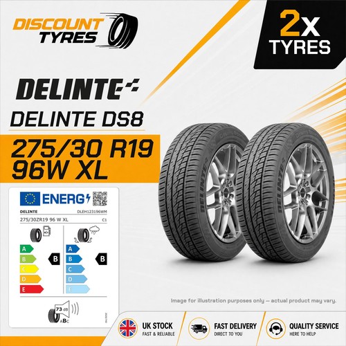 275 30r19 96w delinte - 96w, ds8