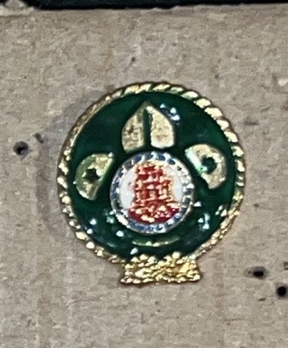 Foreign scout pin - foreign,