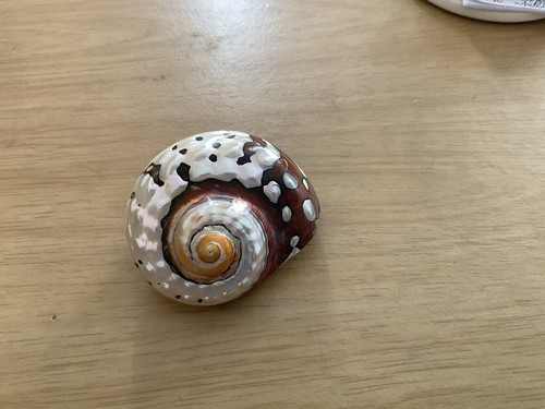Snail pearly big screwl - snail, conch