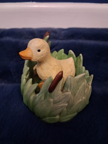 Woodland surprises duck - surprises:,