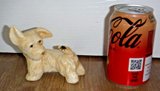 Gorgeous Goebel Terrier Dog With A Fly On His Tail ~ Germany ~ Excellent