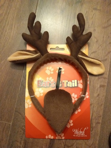 Raindeer doe deer stag - raindeer,