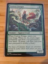 MTG Curious Forager 0169 Bloomburrow M/NM Free UK P&P