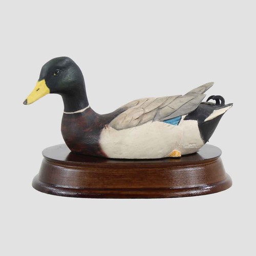 Mallard drake border fine arts - drake,