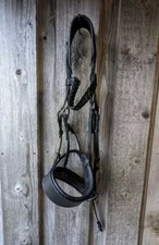 Wide Noseband Black Hunter