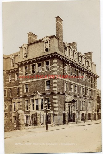 Millbank pimlico royal army - rp,