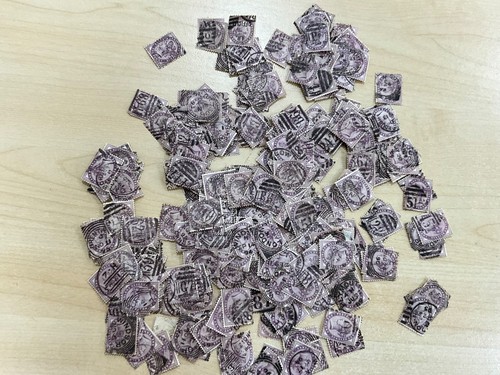 Penny lilacs 400 - qv,