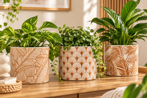 Set ceramic plant pots - 3,