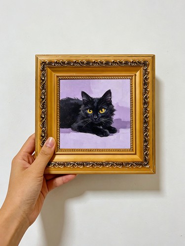 Lying fluffy black cat - fluffy, with