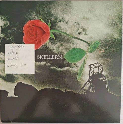 Peter skellern vinyl - skellern,