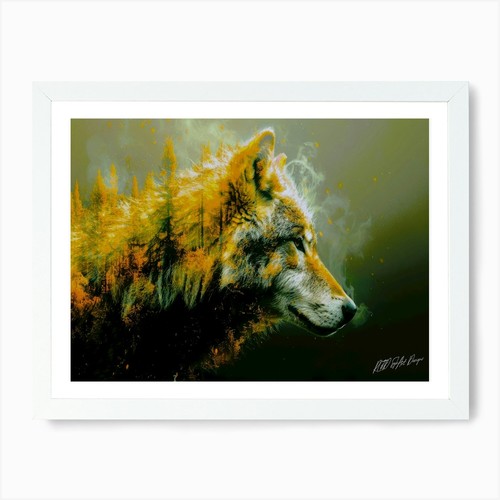Red wolf - qualities, art