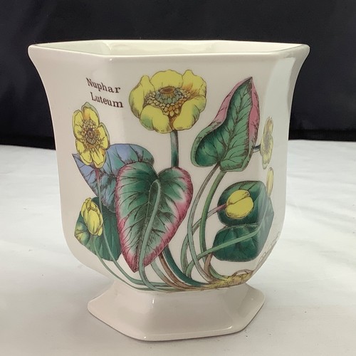Florabunda vintage china plant - vintage,