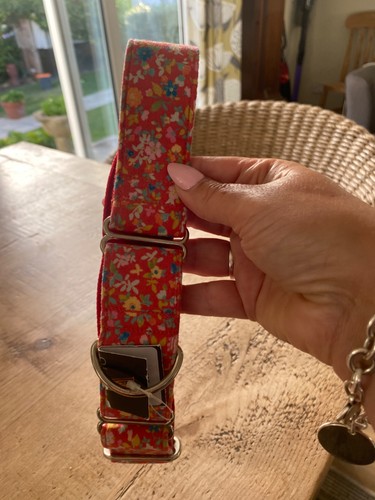 Martingale dog collar16-19