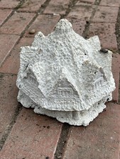 Vintage Rare Thatched Cottage Concrete Weathered Garden Ornament