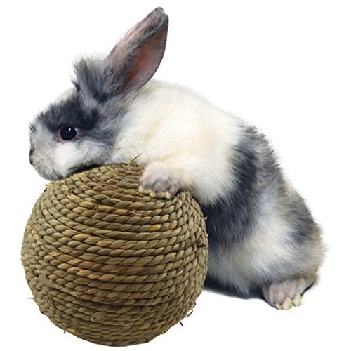 Pet chew toy natural - toy, grass