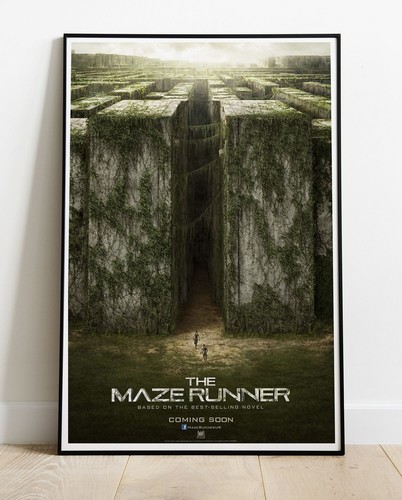 Maze runner photo - runner,
