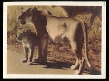 Tobacco Card,UTC,OUR SOUTH