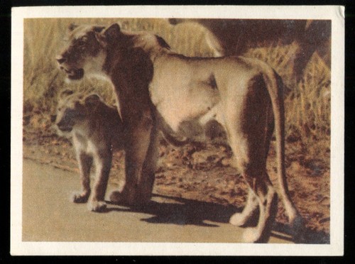 Tobacco card utc our south - card,utc,our,