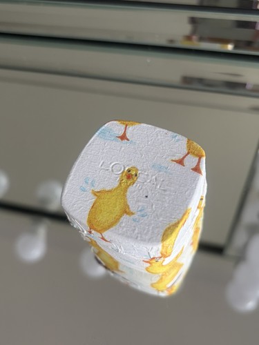 Handmade shabby chic duck