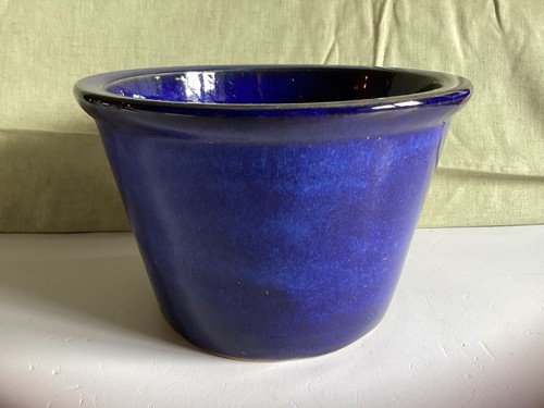 Dark blue glazed ceramic plant - blue,