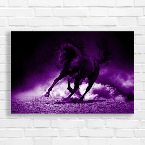 Black horse galloping - horse,