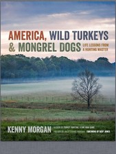 America, Wild Turkeys &