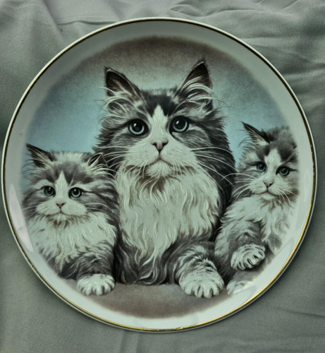 Nbj china staffordshire cat - nbj,