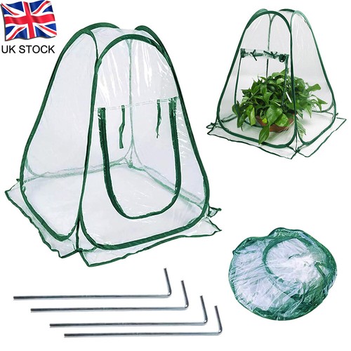 Pop cloche plant - pop-up, cover