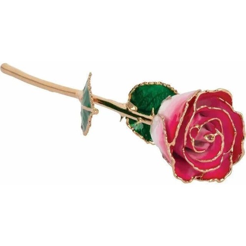 Real semi opened lacquered - opened,