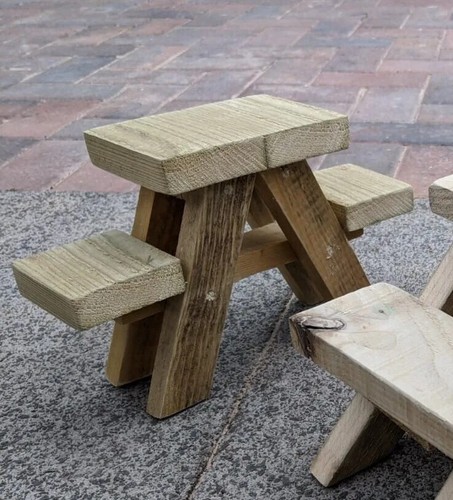 Bird table squirrel - bird,