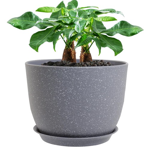 12inch large plant pot with - large,