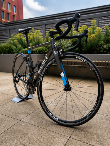 Ribble endurance 53cm - al,