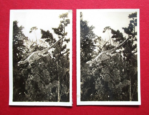 Cavanders camerascope 1930 - cavanders, 2