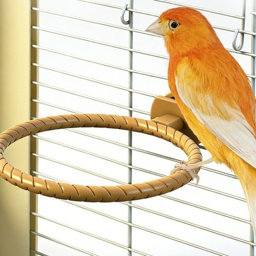 1pc bird water bath tub - bird,