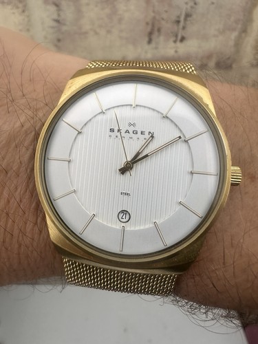 Skagen steel 780xlgg men - skagen, men's